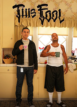 退休流氓欢乐多封面图