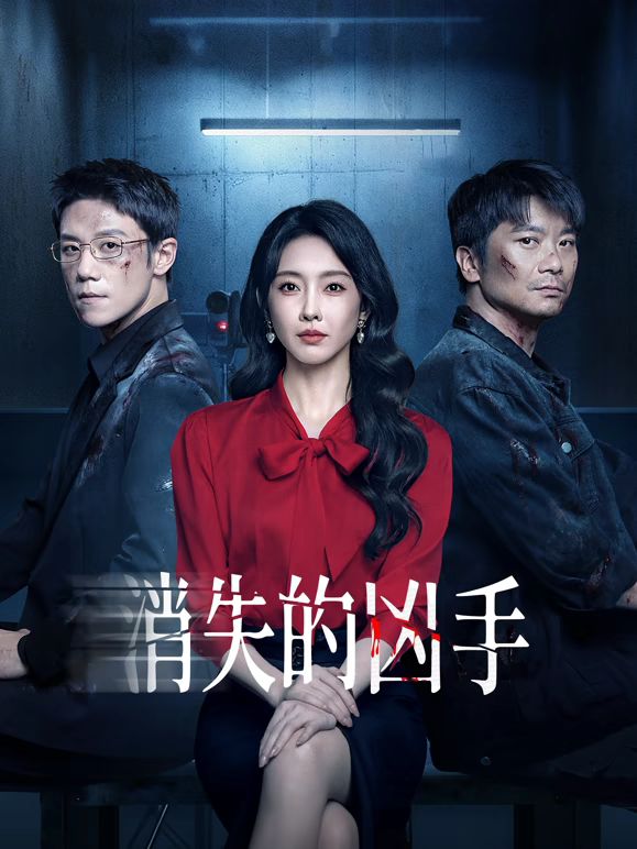 消失的凶手封面图