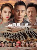 真爱上路封面图