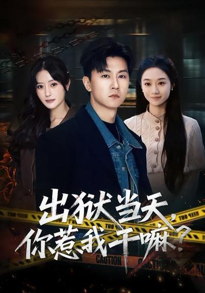 出狱当天，你惹我干嘛？封面图