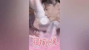 错嫁良缘封面图