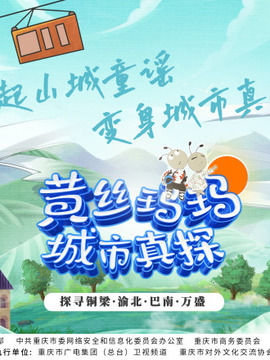 黄丝玛玛城市真探封面图