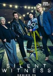 无声的证言第二十九季封面图