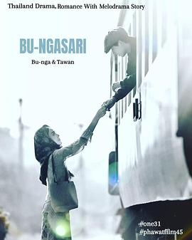 垂花琴木封面图