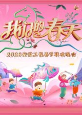 安徽卫视春节联欢晚会2026封面图