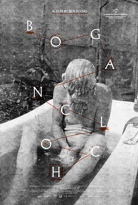 林中空地封面图