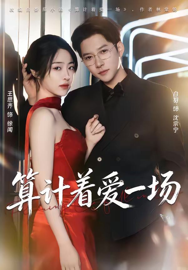 算计着爱一场封面图