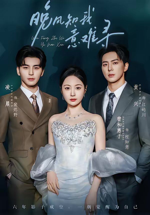 晚风知我意难寻封面图