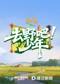去野吧少年封面图