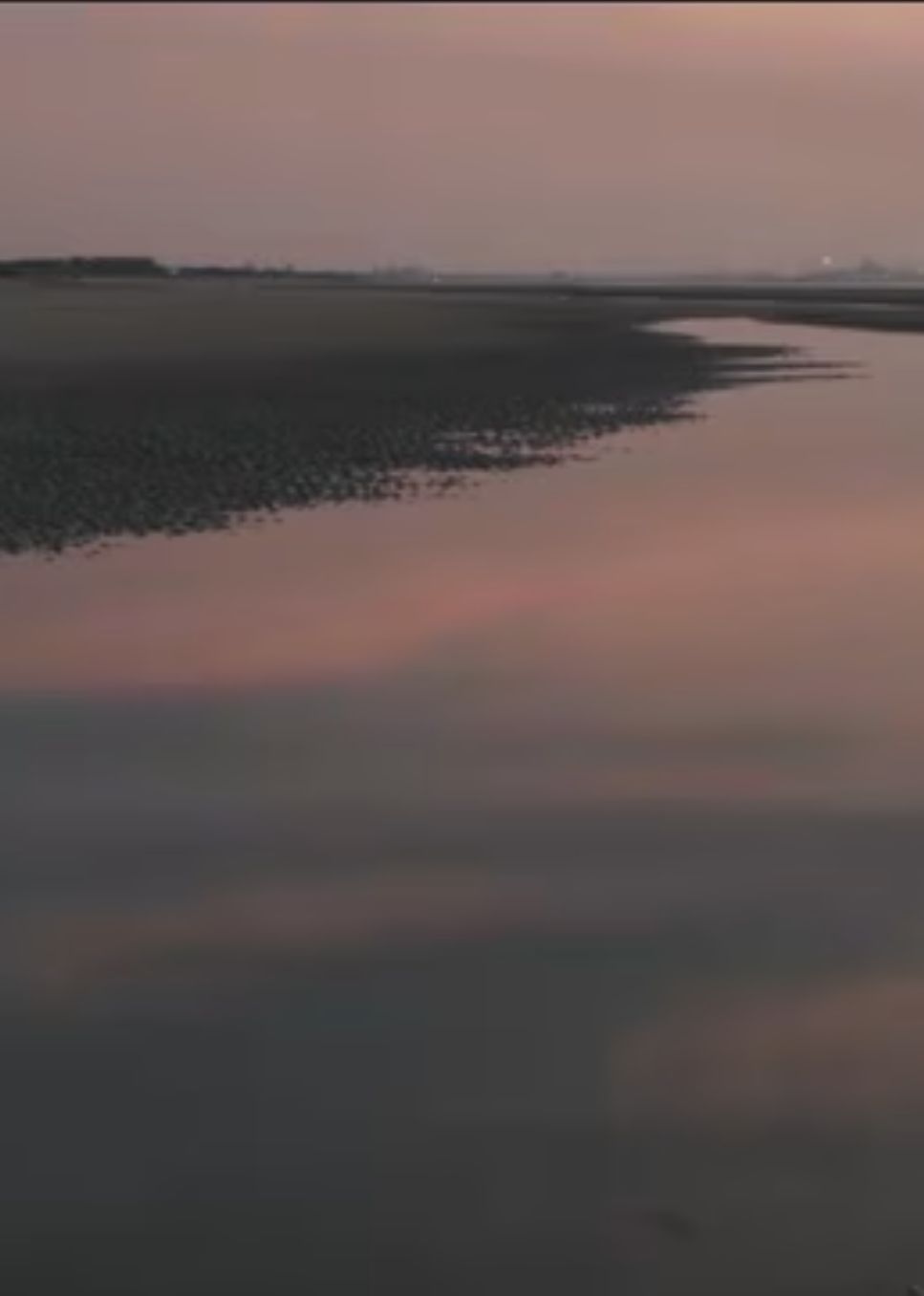 两个爸爸的故事​封面图