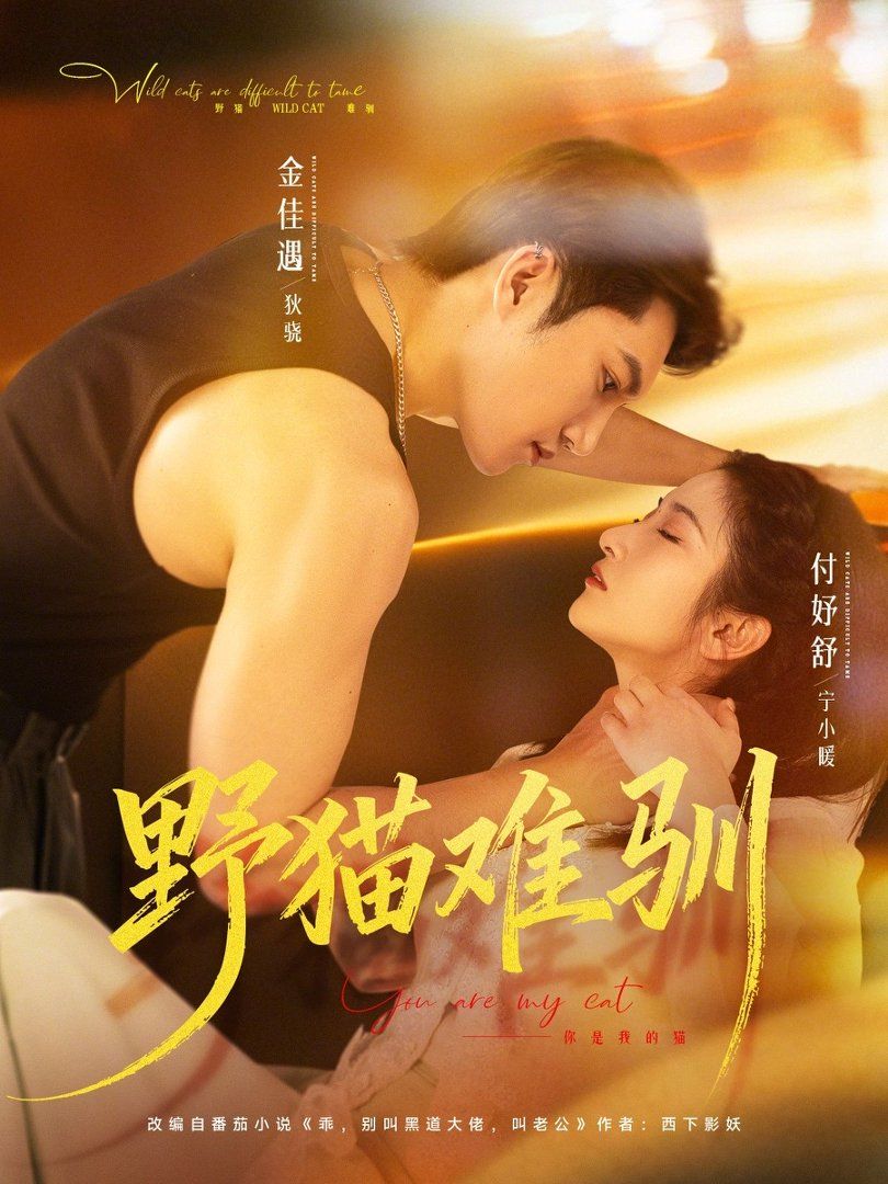 野猫难驯