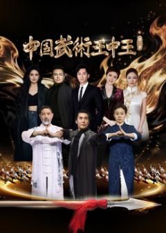 中国武术王中王第二季封面图