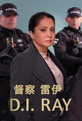 督察雷伊 第二季封面图
