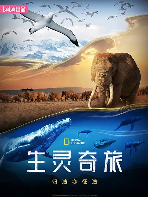 生灵奇旅封面图