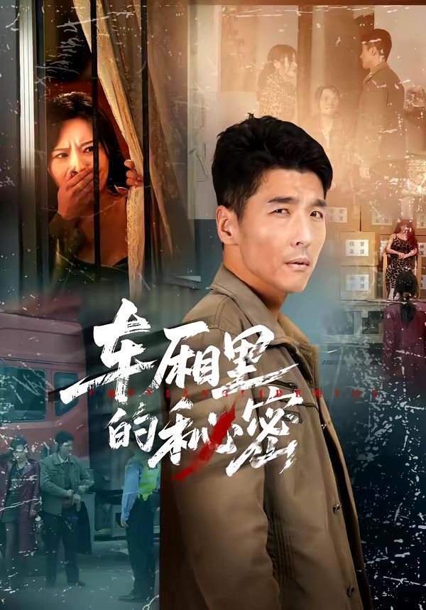 车厢里的秘密封面图