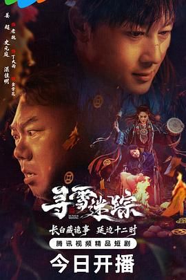 寻雪迷踪封面图