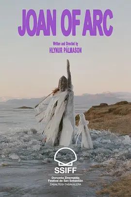 箭下的约翰娜封面图