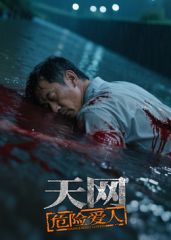 天网：危险爱人封面图