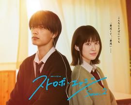 闪烁的爱情 第二季封面图