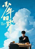 少年田野封面图