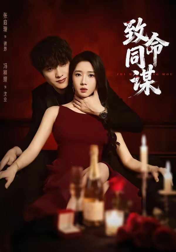 致命同谋封面图